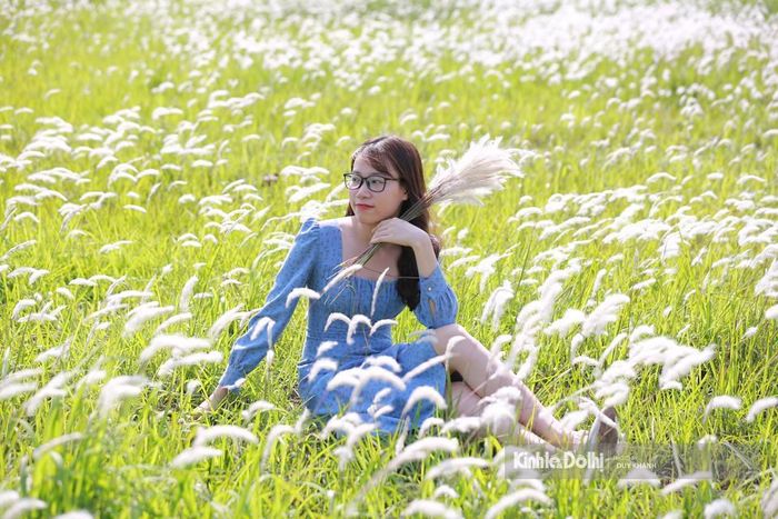 Những thảm lau trắng trên khoảng đất rộng khiến nhiều người đi qua phải níu chân lại.