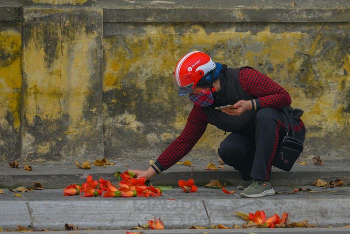 Có lẽ vì vậy, thật khó để người yêu hoa bước qua sự diễm lệ của loài này.