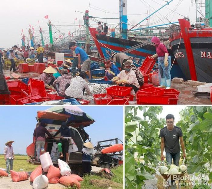 Nguồn nông sản phong phú chủng loại cả về thủy sản, trồng trọt và chăn nuôi. Ảnh: Phú Hương