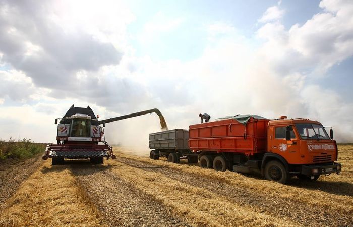Hoạt động xuất khẩu lúa mỳ tại các cảng ở Biển Đen dần nối lại. Ảnh: Grain Central