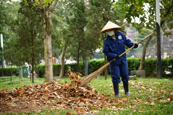 Bên cạnh đó, việc Hà Nội bước vào mùa rụng lá cũng có thể gây mất mĩ quan khi không được dọn dẹp kịp thời.