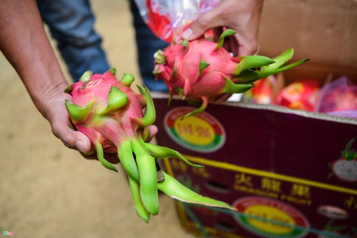 Nếu cứ tình trạng có gì làm nấy, có gì bán nấy sẽ luôn bị động. Ảnh: Thạch Thảo.