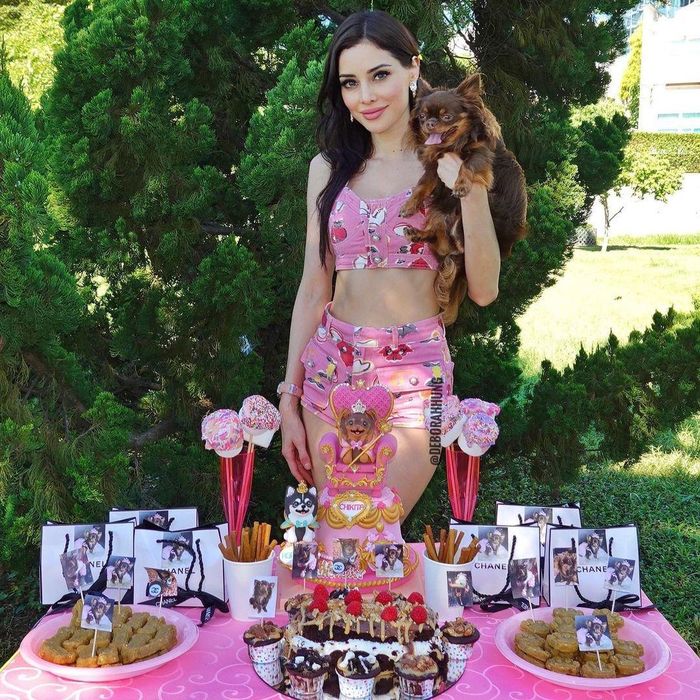  Hung rất chiều chuộng thú cưng của mình - Chikita Chanel và Roppongi. Cô thường giữ chúng bên mình khi tổ chức sinh nhật và đi dã ngoại. Hung thậm chí sắm cho thú cưng váy của nhà mốt Louis Vuitton. 