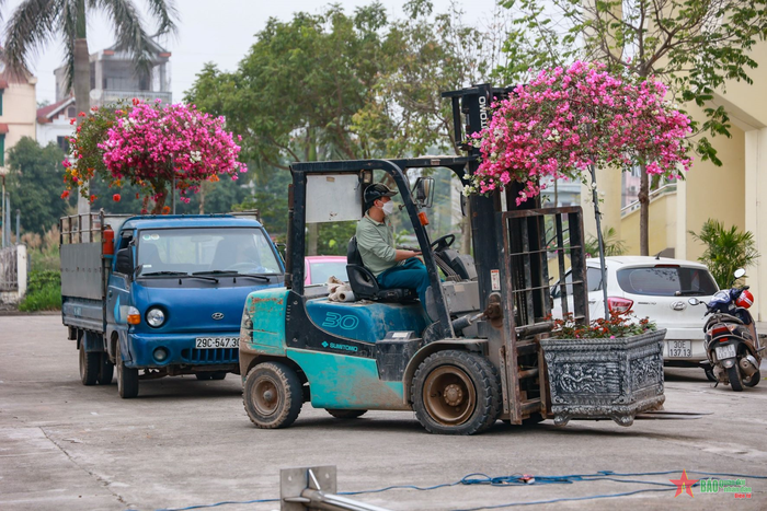 Công nhân chỉnh trang, cắt tỉa, trồng bổ sung và trồng mới cây xanh, cây hoa tại nhà thi đấu. 