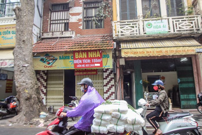 Nhiều căn nhà sẵn sàng cho thuê hoặc bán luôn nếu có người cần mua