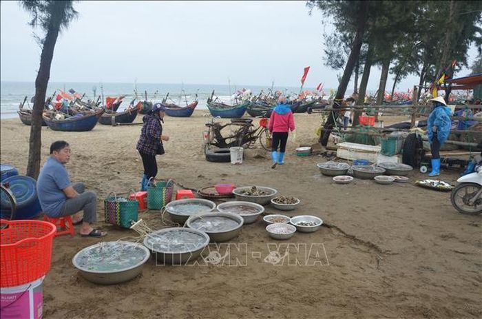Hải sản sau khi lên bờ được các lái buôn, người dân, du khách thu mua ngay tại bãi biển. Ảnh: Hoa Mai/TTXVN
