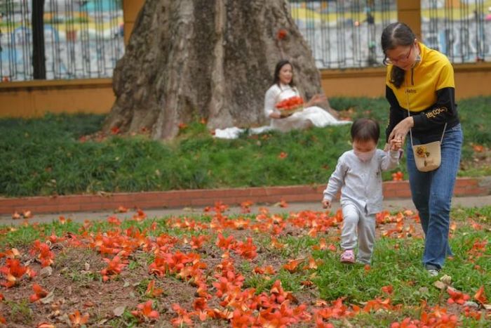 Có lẽ cũng vì vậy, thật khó để vội ngắm, vội bước qua sự diễm lệ của loài này cho được! 