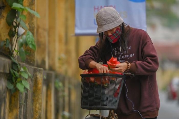 Ở Hà Nội, cây gạo không được trồng phổ biến, thế nhưng mùa hoa gạo vẫn là một món quà mà tháng Ba đặc biệt thân thương dành tặng những người con Thủ đô.