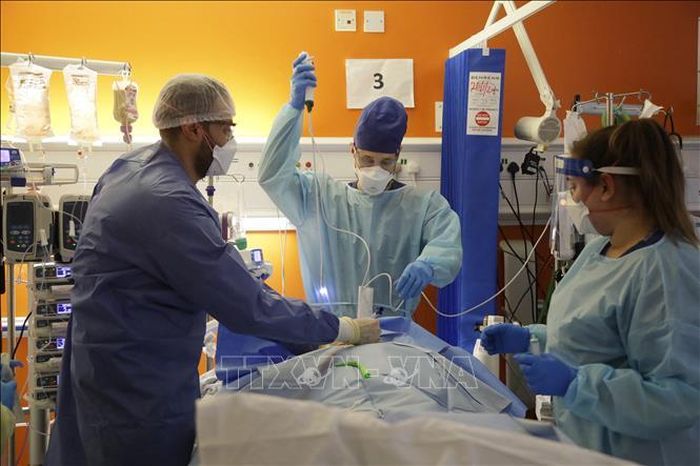 Điều trị cho bệnh nhân mắc COVID-19 tại bệnh viện ở London, Anh. Ảnh minh họa: AFP/TTXVN