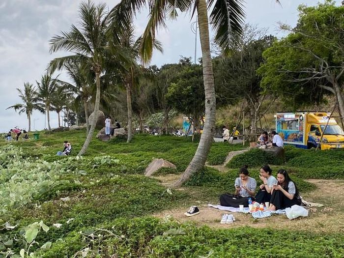 Bán đảo Sơn Trà được xem viên ngọc quý của thành phố Đà Nẵng, hấp dẫn du khách bởi những bãi biển lớn nhỏ tuyệt đẹp, rừng cây rợp bóng và hệ sinh thái rừng tự nhiên đa dạng, phong phú 