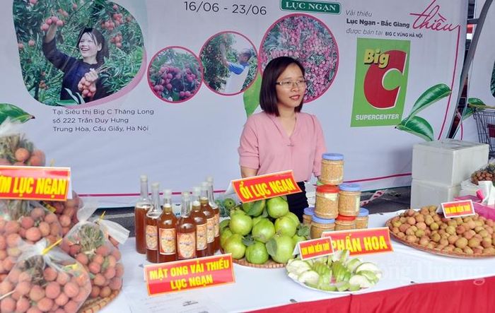 Mật ong đã trở thành ngành kinh tế nông nghiệp quan trọng của Lục Ngạn