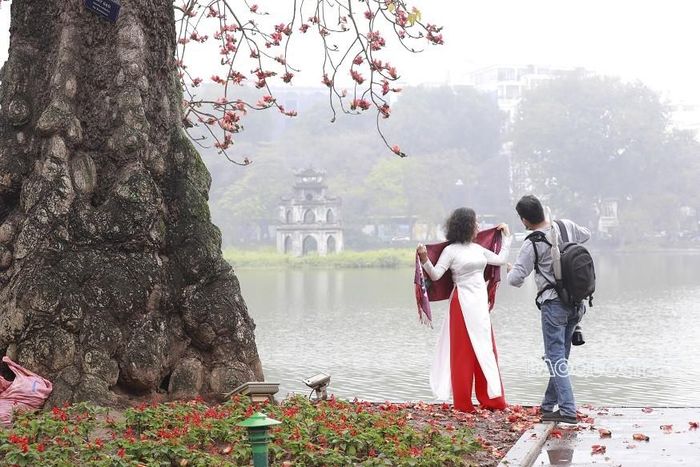 Một thợ ảnh đang hướng dẫn vị khách nữ tạo dáng khi chụp với cây hoa gạo. (Ảnh: Trung Hiếu)