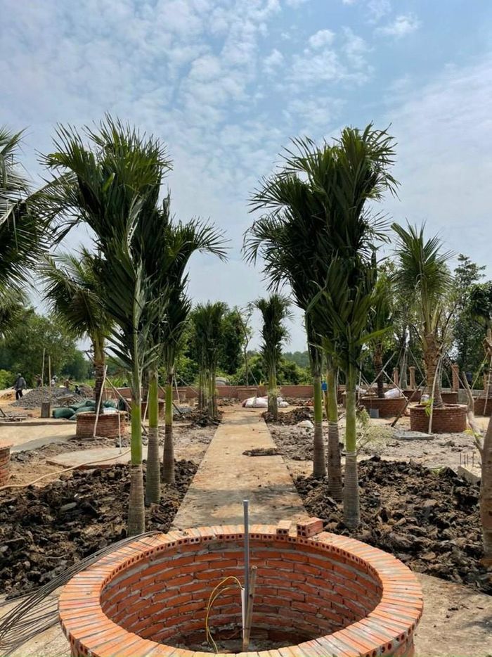 Nhiều công trình tự phát được xây dựng trên đất nông nghiệp để bán ăn theo sốt đất. 