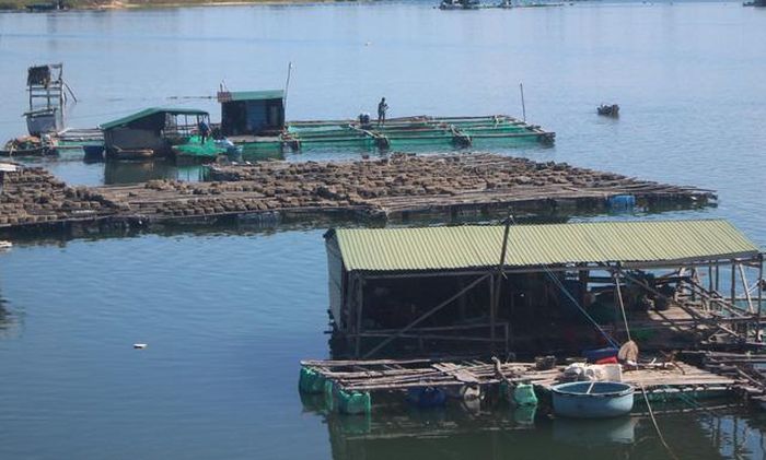 Những nhà chòi, bè cá được dựng lên chắc chắn ở vùng biển Cam Ranh, Khánh Hòa.