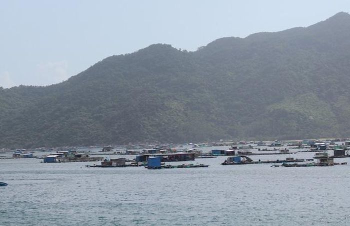 Nhà vùng biển ở Khánh Hòa, nhà chòi, bè cá san sát.