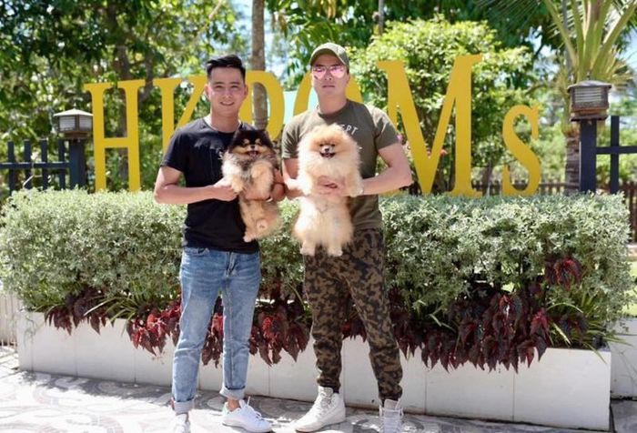 Ca sĩ Cao Thái Sơn đến trại nuôi của anh Khang để mua chó Pom.