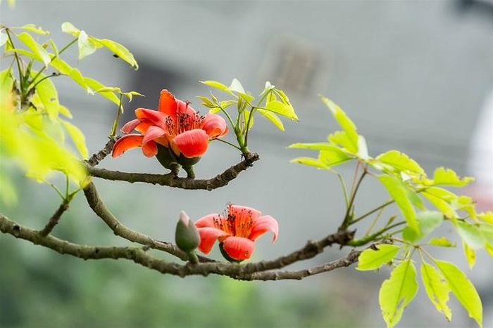 Ảnh minh họa: Internet