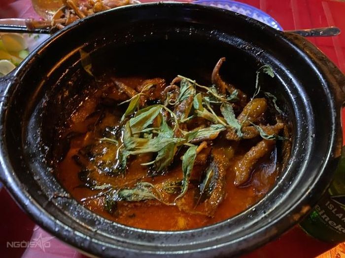 Lưỡi vịt sapo.