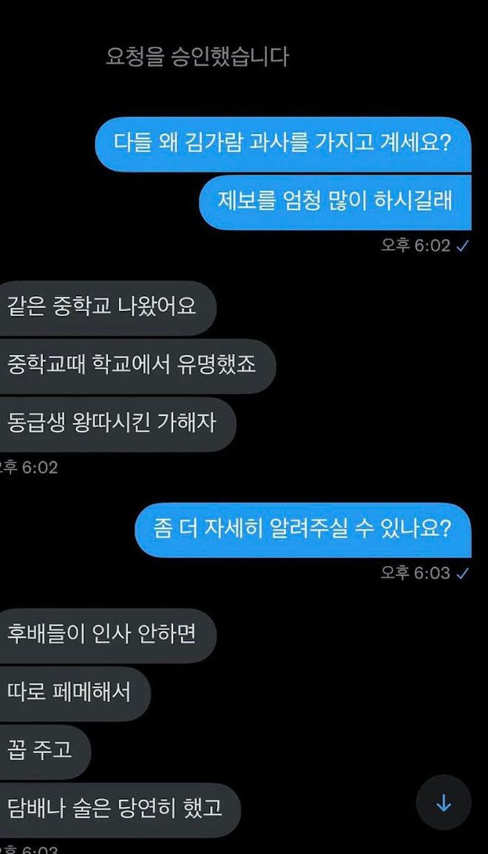 Cuộc trò chuyện giữa một cư dân mạng và bạn học được cho là của Kim Garam