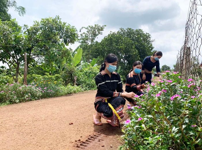 Không chỉ tuyên truyền hạn chế sử dụng túi ni lông, Hội LHPN xã Ia Mơ Nông còn vận động hội viên phụ nữ dọn vệ sinh, trồng con đường hoa để tạo cảnh quan xanh-sạch-đẹp. Ảnh: Nhật Hào