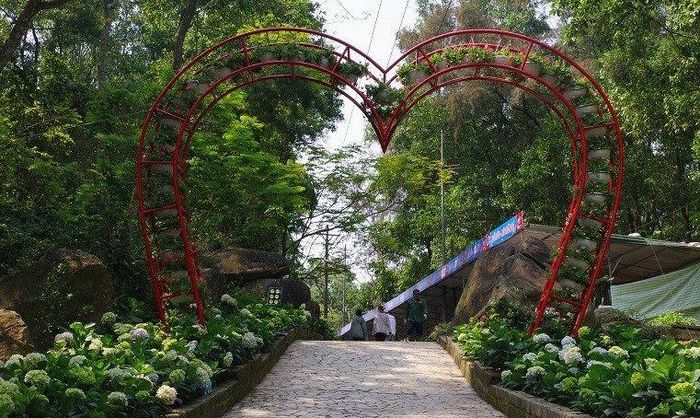 Nhiều điểm check-in cho giới trẻ
