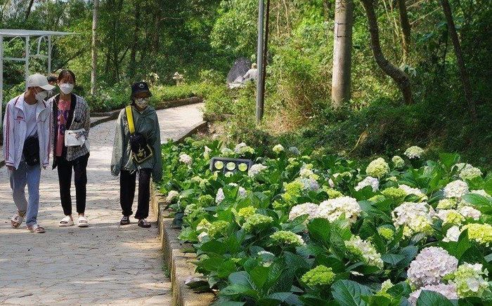Du khách, người dân đổ về Sầm Sơn thưởng thức mùa lễ hội