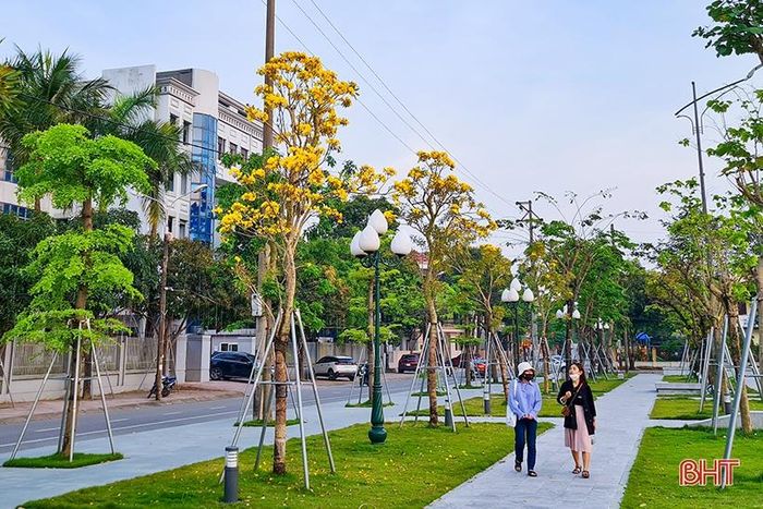 Công viên Lý Tự Trọng được tô điểm bởi hoa chuông vàng