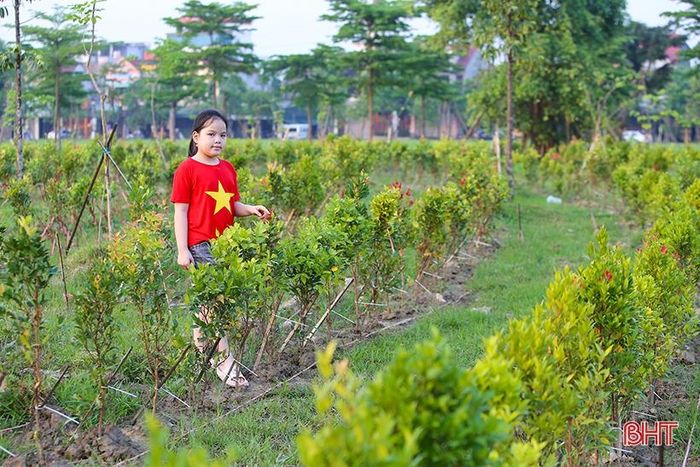 Công trình Mê cung xanh của Thành đoàn Hà Tĩnh cũng đang dần hình thành tại khu vực công viên trung tâm. Với hơn 2.000 cây hồng lộc trồng theo lối hàng rào zic - zắc để tạo vòng cánh cung lớn hứa hẹn sẽ là điểm phục vụ nhu cầu vui chơi, giải trí cho người dân.