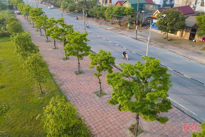 Dọc tuyến đường 26/3 là hàng cây giáng hương, mùa hoa nở con đường này nổi bật với những nụ hoa vàng rực, kết thành từng chùm xen với màu xanh của lá biếc
