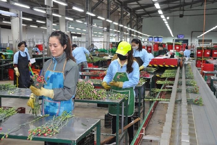 Lâm Đồng xác định phục hồi hoạt động công nghiệp là nhiệm vụ trọng tâm trong quý 2/2022. (Ảnh: CTV)