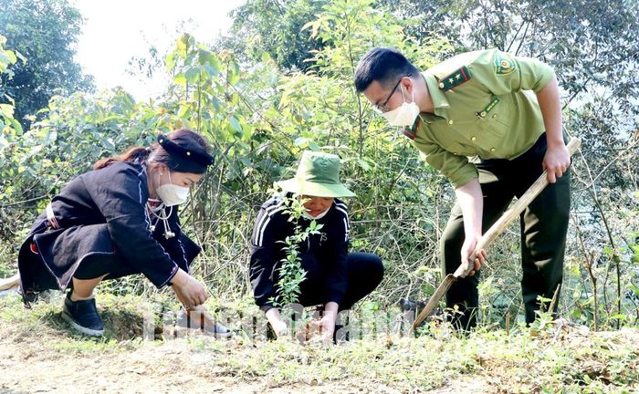 Việc trồng cây mận tam hoa tạo cảnh quan xanh, bảo vệ môi trường, tạo điểm nhấn thúc đẩy phát triển tiềm năng du lịch sinh thái ở thôn Cao Đường, xã Yên Thuận (Hàm Yên).