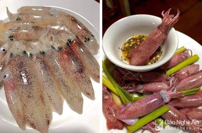Mực nháy còn nguyên độ tươi sống, nên thường được người dân và du khách mua về để chế biến và thưởng thức ngay. Đây là món đặc sản không thể bỏ qua mỗi khi về phố biển Cửa Lò. Ảnh: P.V