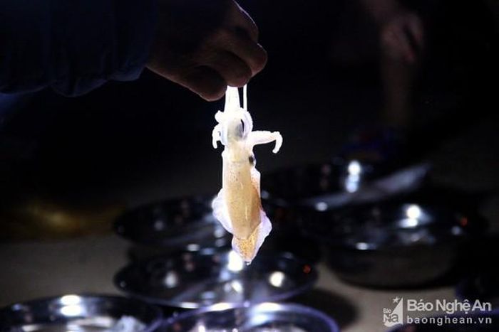 Do số lượng người mua lớn nên mực nháy dù giá cao cũng luôn "cháy" hàng. Ảnh: Q.A