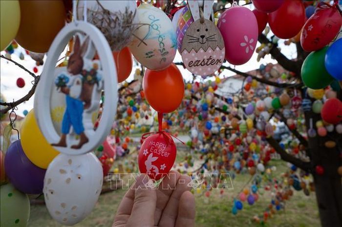 Trang trí trứng Phục sinh trên cây tại Kethely, Hungary, ngày 11/4/2022. Ảnh: THX/TTXVN