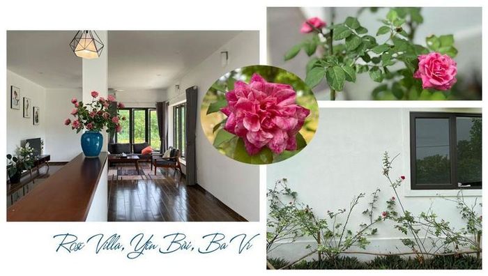 Bên cạnh đó, ngôi nhà thứ hai còn mang đến lợi ích "2 trong 1" nhờ nguồn sinh lời bền vững dưới hình thức tự khai thác hoặc ủy thác chủ đầu tư quản lý cho thuê. Giá trị “second home” vì thế cũng sẽ gia tăng theo thời gian và có thể làm tài sản để dành cho con cháu sau này.