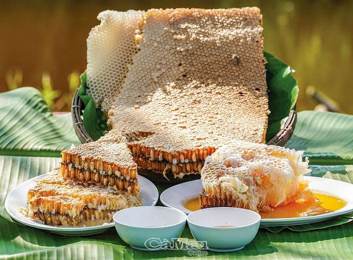 Nguyên liệu nhộng ong dùng để làm gỏi.
