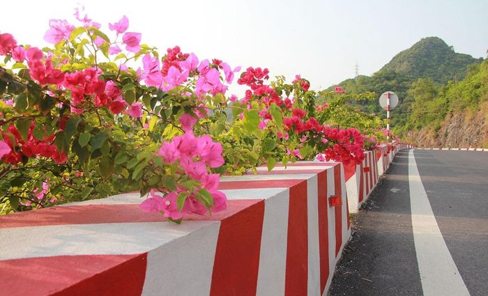 Dự án trồng hoa dọc tuyến đường xuyên đảo Cát Bà nhằm tạo điểm nhấn về cảnh quan, điểm dừng chân cho du khách tới tham quan du lịch đảo Cát Bà; phủ xanh các vách núi do phá đá mở rộng tuyến đường tỉnh lộ 356; thu hút khách du lịch, góp phần vào sự phát triển về du lịch - dịch vụ, kinh tế - xã hội của địa phương.