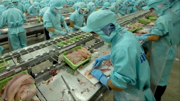 Các doanh nghiệp thủy sản kỳ vọng sớm được cởi trói các quy định bất cập
