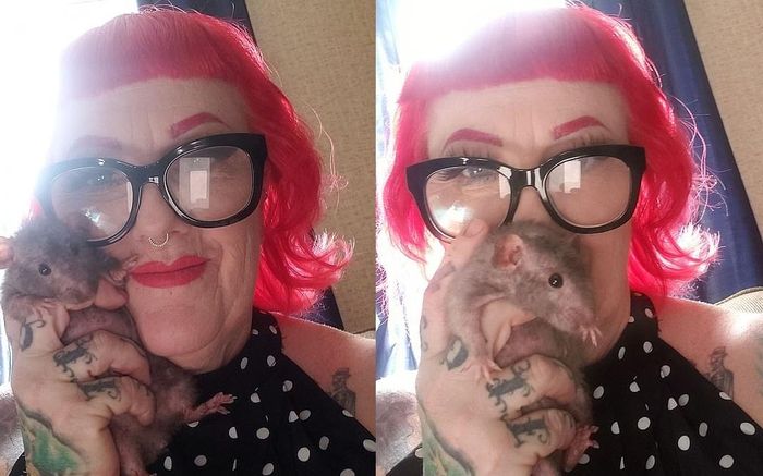Bà Michele Raybon, 51 tuổi - chủ nhân của 50 chú chuột tinh nghịch