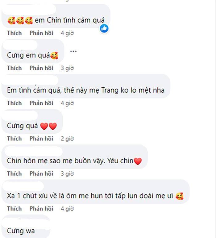 Bình luận của khán giả.