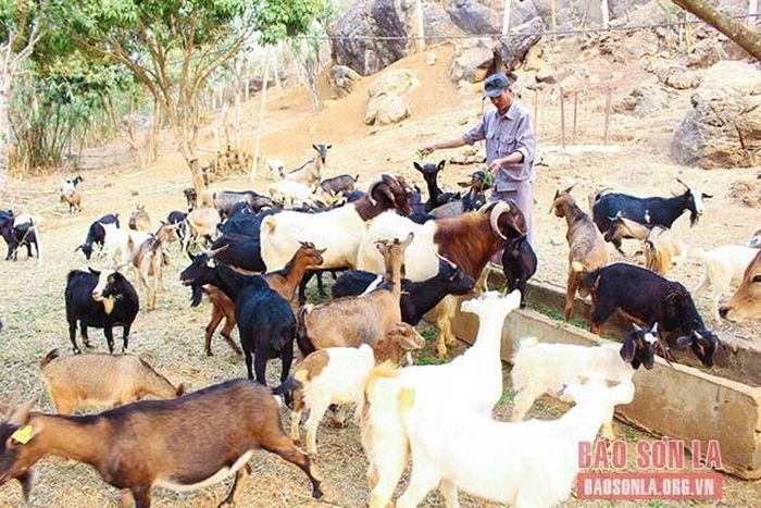 Học viên tại Cơ sở điều trị nghiện ma túy tỉnh tham gia lao động sản xuất. 