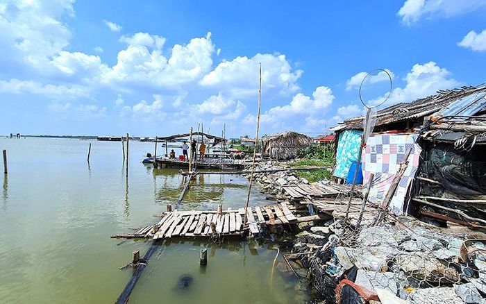 Khu vực nhà dân chơi vơi sát khu rọ đá ở bờ nam Sông Đốc - nơi từng hứng chịu triều cường nặng vào năm 2019. 