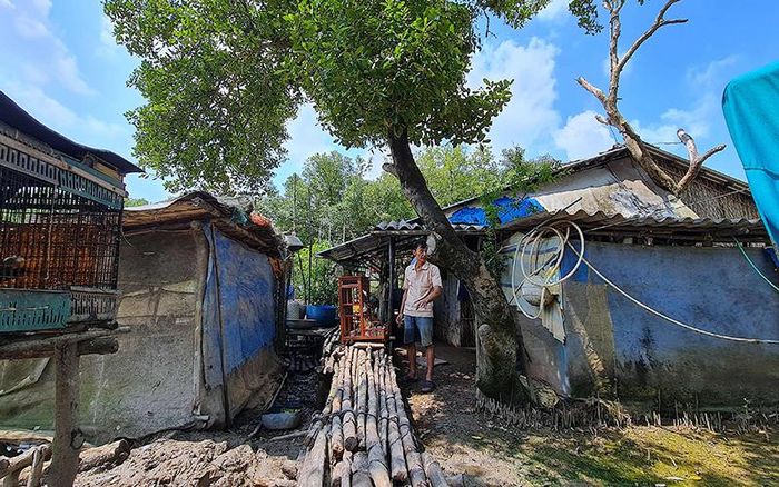 Khu vực sàn cao này là nơi gia đình ông Huỳnh Thanh Thủy kê đồ đạc, vật dụng mỗi khi triều cường dâng cao. 