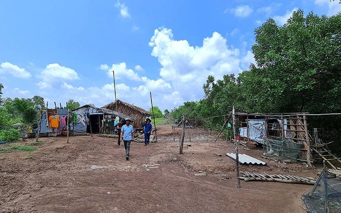 Khu nhà lụp xụp của hộ dân sống sau đê biển Tây, đoạn gần cống Công Nghiệp, thị trấn Cái Đôi Vàm.