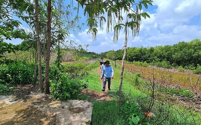Khu vực thân đê biển Tây đã nâng cấp và chưa nâng cấp khá chênh vênh và so le về độ cao.