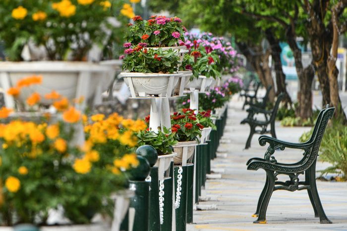 Trước đây tuyến phố không có nhiều tiểu cảnh, bồn hoa trang trí, lượng khách đến cũng ít hơn nhiều lần so với phố đi bộ hồ Gươm. 