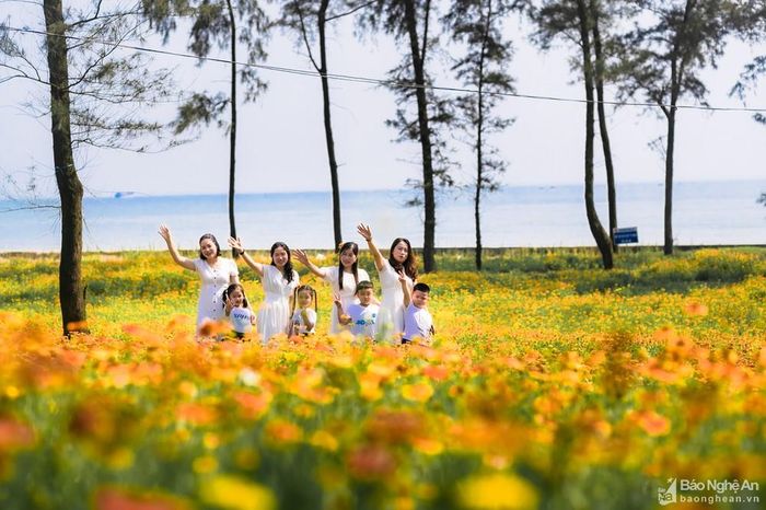 Phía sau là biển, trước là thảm hoa tạo thành điểm nhấn trong mỗi khung hình. Nhiều du khách không khỏi ngỡ ngàng trước cảnh sắc tuyệt đẹp này. Ảnh: Đức Anh