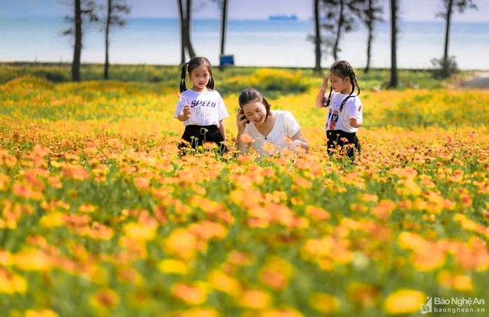 Hằng ngày cánh đồng hoa đã đón nhiều lượt du khách tìm về để cùng lưu giữ lại khoảnh khắc đẹp đến khó cưỡng này. Ảnh: Đức Anh