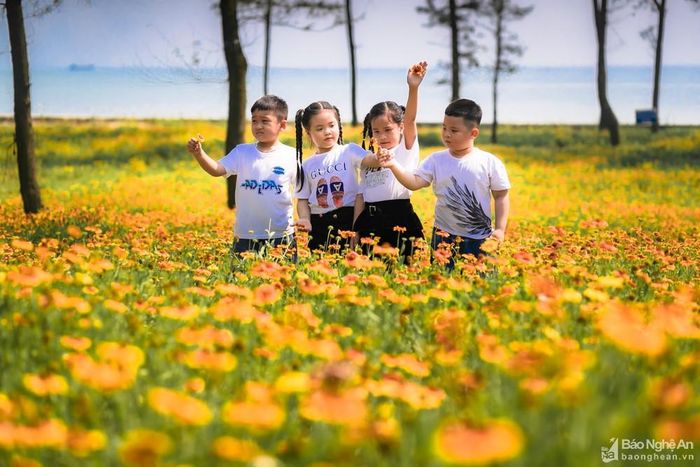Cả những em nhỏ cũng xem đây như một xứ sở thần tiên, mang đến nhiều trải nghiệm lý thú trong chuyến du lịch về Cửa Lò cùng với bố mẹ. Ảnh: Đức Anh