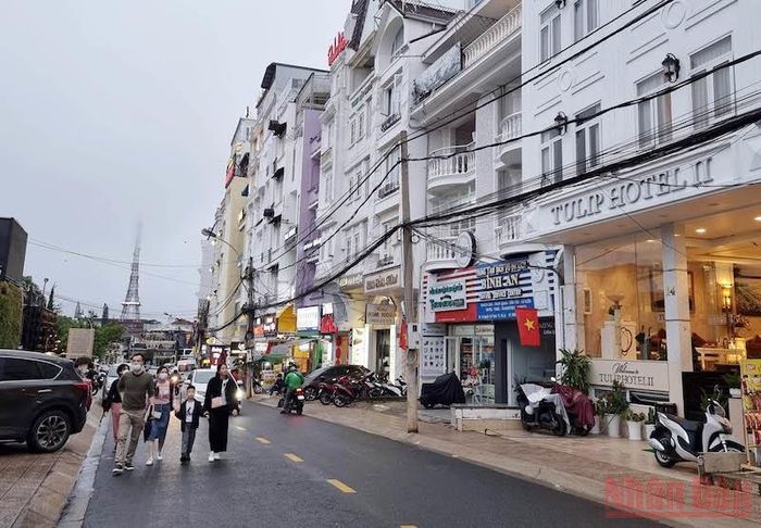  Du khách thư thái dạo phố phường Đà Lạt.